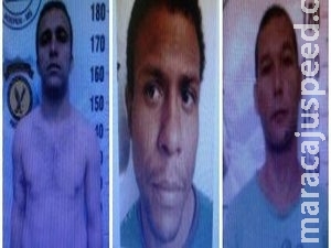 Fugitivos de delegacia cumprem penas por homicídio, violência doméstica e roubo