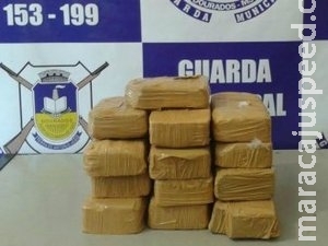 GM prende cocaína avaliada em R$ 300 mil na rodoviária GM prende cocaína avaliada em R$ 300 mil na rodoviária