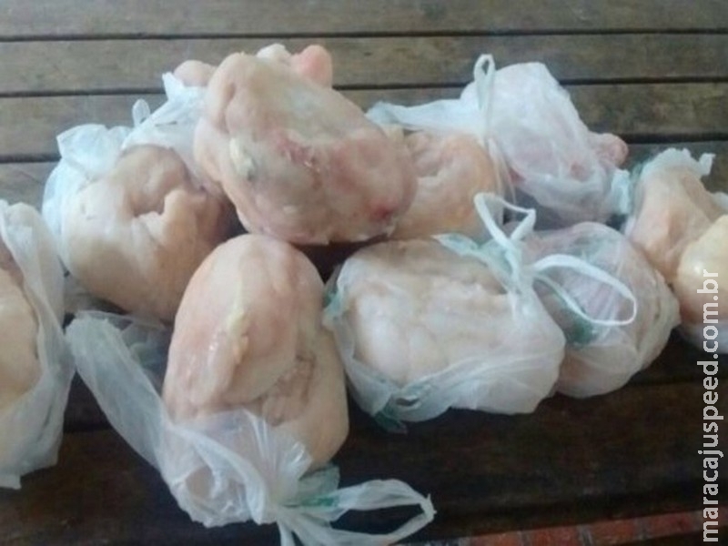 Homem é detido por vender carne de jacaré em casa no Pantanal de MS Homem é detido por vender carne de jacaré em casa no Pantanal de MS