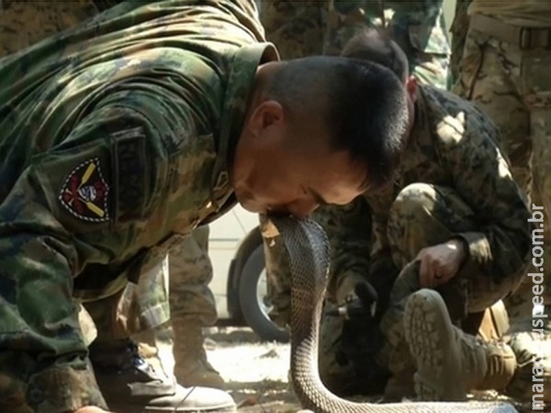 Instrutor dá até beijo em cobra venenosa em treinamento militar Instrutor dá até beijo em cobra venenosa em treinamento militar