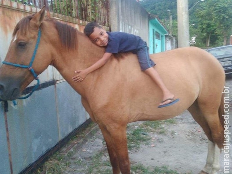 Ladrão se arrepende e devolve cavalo furtado a criança doente Ladrão se arrepende e devolve cavalo furtado a criança doente