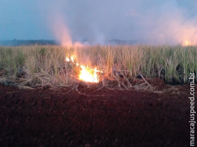 Maracaju: PMA autua usina unidade Tonon Bioenergia Unidade Vista Alegre em R$ 25 mil por incêndio em lavoura de cana sem autorização