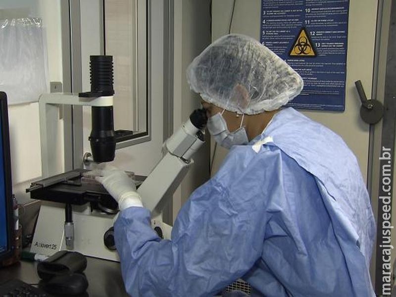 OMS diz que antes de 2020 não será licenciada vacina segura contra o vírus Zika OMS diz que antes de 2020 não será licenciada vacina segura contra o vírus Zika