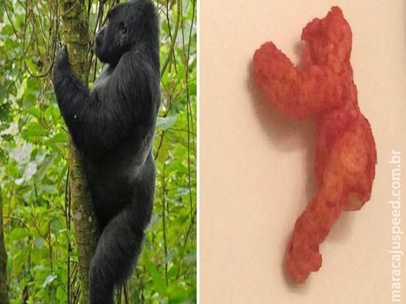 Salgadinho parecido com gorila é leiloado por quase US$ 100 mil Salgadinho parecido com gorila é leiloado por quase US$ 100 mil