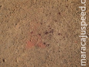 Adolescente fica gravemente ferido ao ser esfaqueado no pescoço