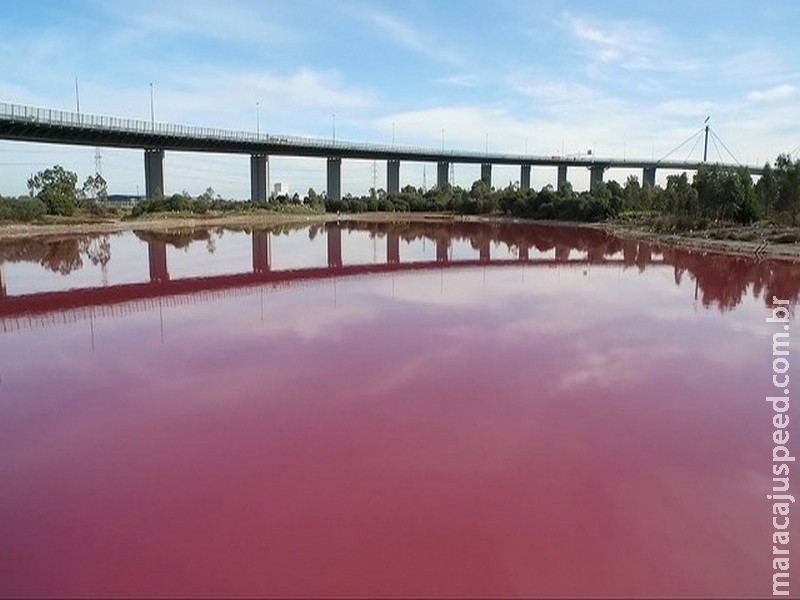 Água de lago fica rosa por conta de fenômeno natural