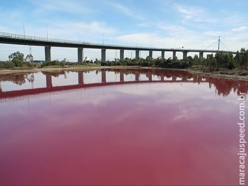Água de lago fica rosa por conta de fenômeno natural Água de lago fica rosa por conta de fenômeno natural