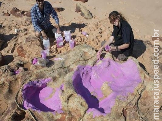 Cientistas identificam 150 pegadas de 21 espécies de dinossauros Cientistas identificam 150 pegadas de 21 espécies de dinossauros