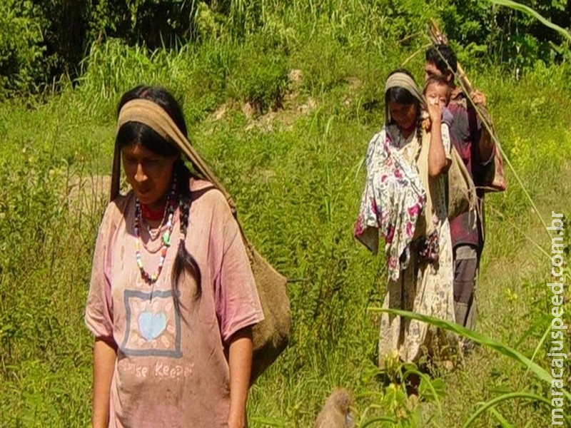  Corações mais saudáveis do mundo estão em povoado indígena da Bolívia, indica estudo