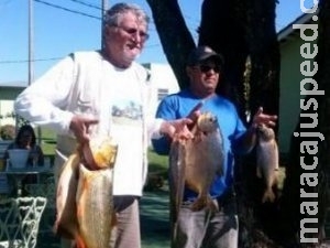 Deputado é flagrado pescando sem licença e acaba multado pela PMA Deputado é flagrado pescando sem licença e acaba multado pela PMA