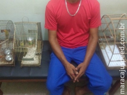 Homem é preso e multado por manter 6 aves nativas em cativeiro em MS