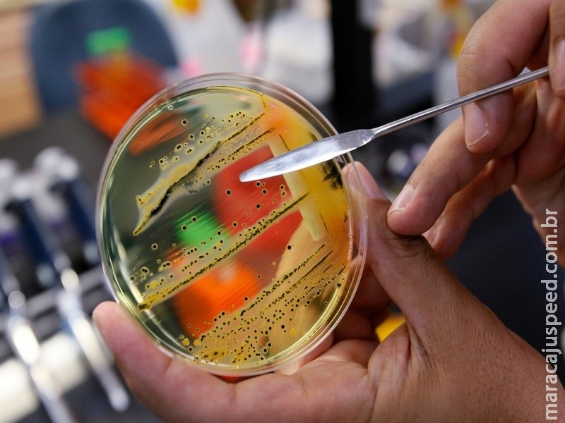 OMS pede o desenvolvimento de novos antibióticos para 12 