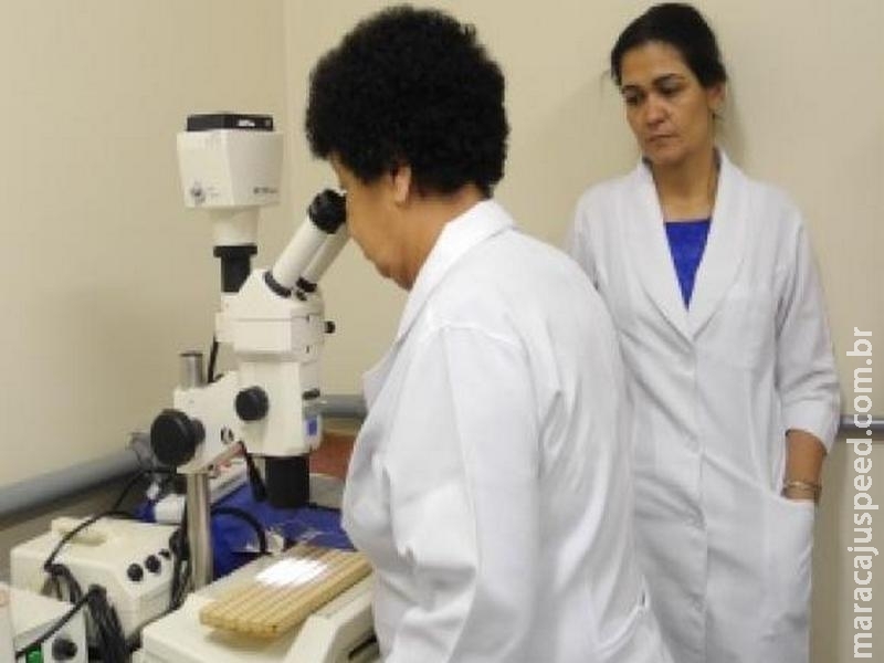 Participação das mulheres na área de exatas mais do que dobrou de 2011 a 2016 Participação das mulheres na área de exatas mais do que dobrou de 2011 a 2016