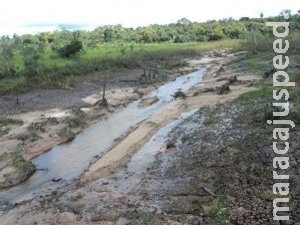 PMA multa produtor rural em R$ 50 mil por degradar árear de mata ciliar