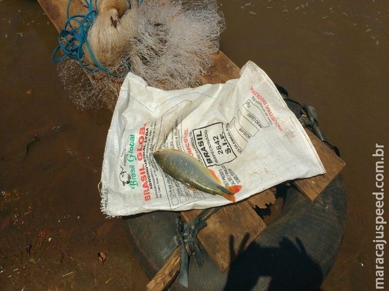 PMA prende pescador em flagrante por pescar com tarrafa no rio Miranda PMA prende pescador em flagrante por pescar com tarrafa no rio Miranda