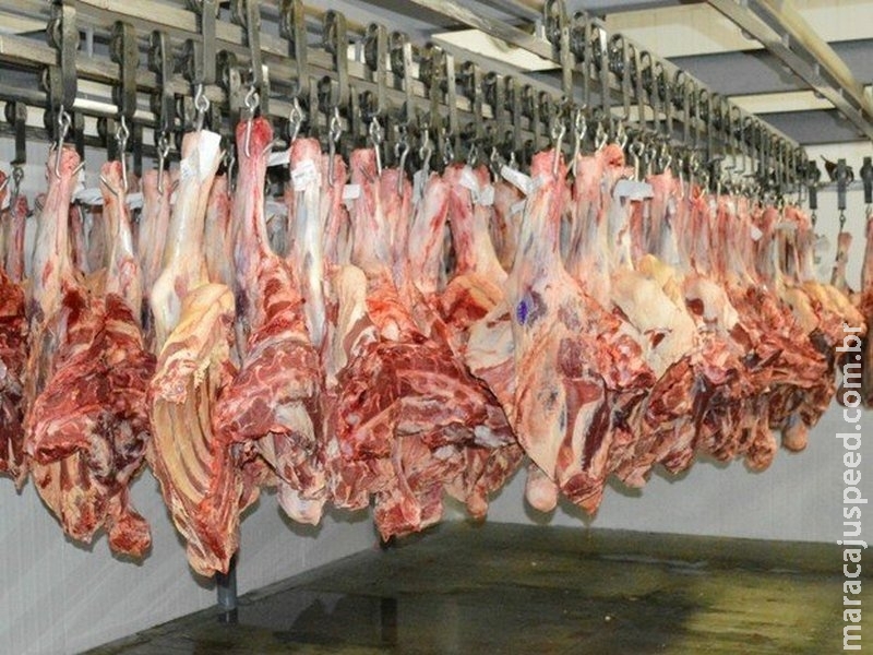 Produtor de MS ainda calcula tamanho do prejuízo com a Carne Fraca Produtor de MS ainda calcula tamanho do prejuízo com a Carne Fraca