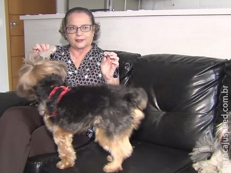 Projeto quer liberar visitas de animais de estimação em hospitais Projeto quer liberar visitas de animais de estimação em hospitais