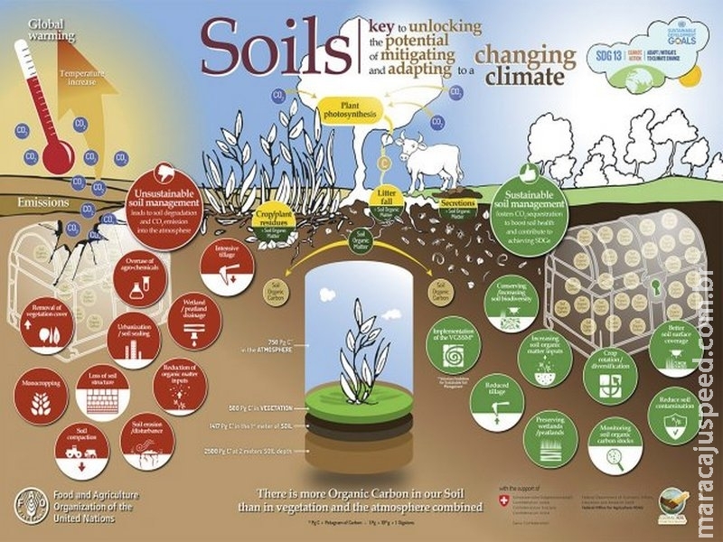 Carbono orgânico do solo é chave para mitigação das mudanças climáticas