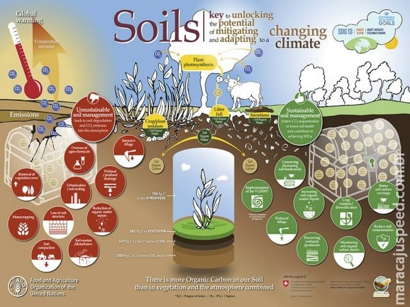 Carbono orgânico do solo é chave para mitigação das mudanças climáticas Carbono orgânico do solo é chave para mitigação das mudanças climáticas