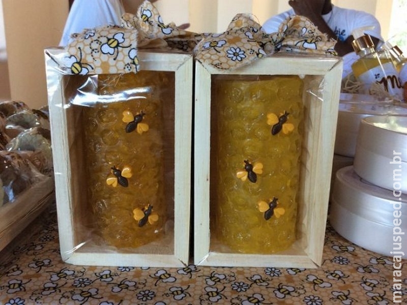 Desaparecimento de abelhas preocupa e apiecoturismo desponta como alternativa