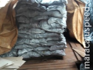 Dono de conveniência compra carvão ilegal em MS e é multado em R$ 9 mil