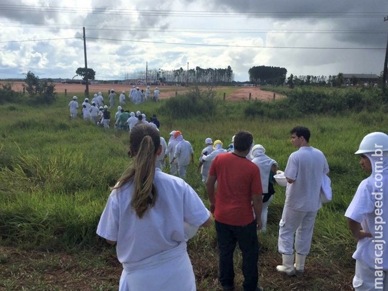 Gerente de Centro de Saúde passa mal ao atender funcionários da JBS Gerente de Centro de Saúde passa mal ao atender funcionários da JBS