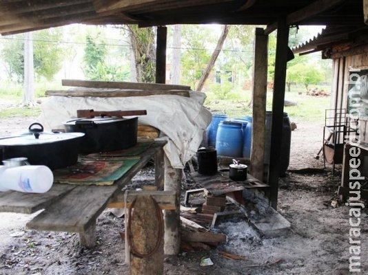 Homens que viviam com porcos e galinhas são resgatados de fazenda