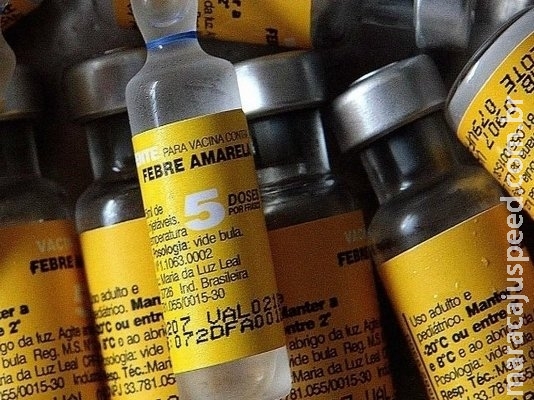 Ministério da Saúde estuda fracionar doses de vacinas contra a febre amarela
