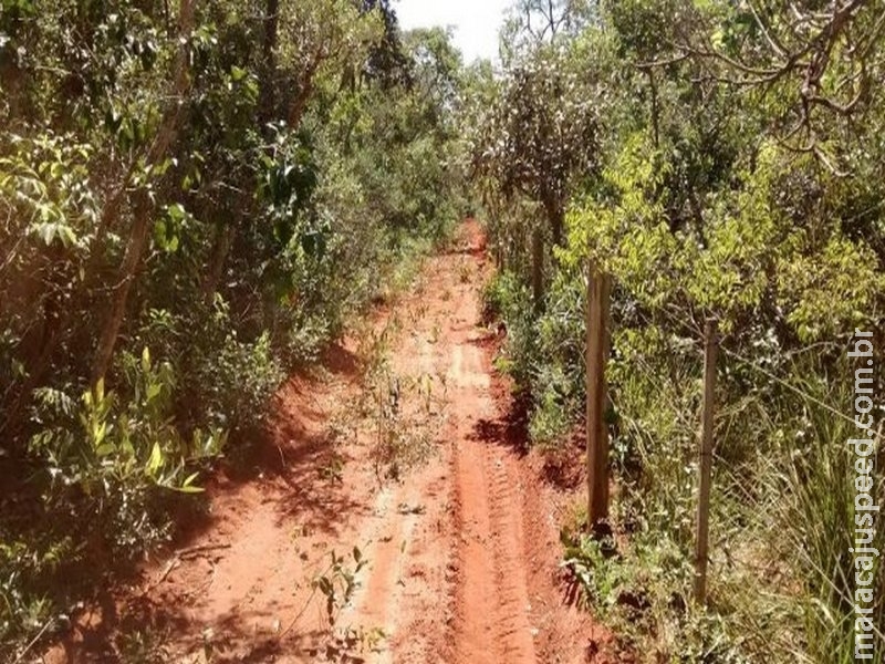 Mulher é multada em R$ 5 mil por desmatar fazenda vizinha