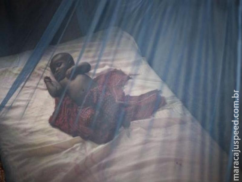 Organização Mundial da Saúde quer aumentar esforços globais contra a malária