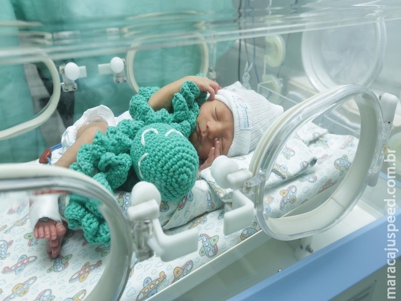 Polvos de crochê ajudam a acalmar bebês prematuros Polvos de crochê ajudam a acalmar bebês prematuros