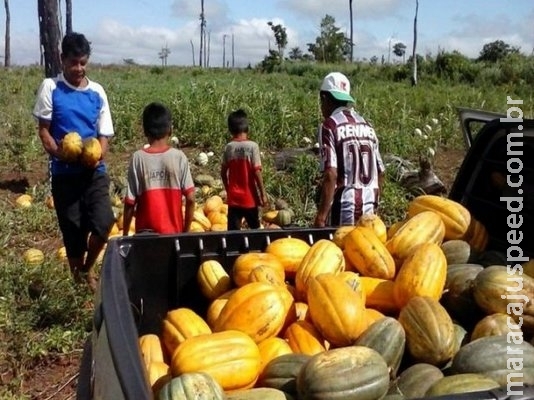 Produtores indígenas receberão R$ 2,4 milhões por fornecimento de alimentos Produtores indígenas receberão R$ 2,4 milhões por fornecimento de alimentos