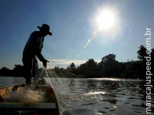 Proibição de pesca de 15 espécies é adiada para 2018