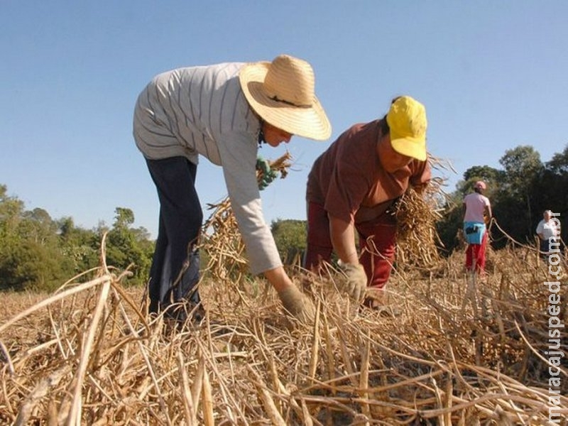 Regras para aposentadoria rural mudam com novo texto da reforma