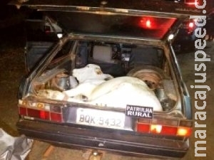 Bezerro é encontrado pela polícia dopado em porta-malas de carro Bezerro é encontrado pela polícia dopado em porta-malas de carro
