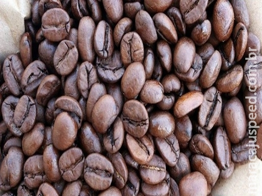 CNC orienta que cafeicultores não abram novas lavouras no Brasil