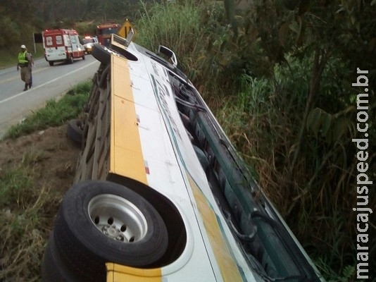 Colisão entre carreta e ônibus deixa mortos e feridos na BR-265 