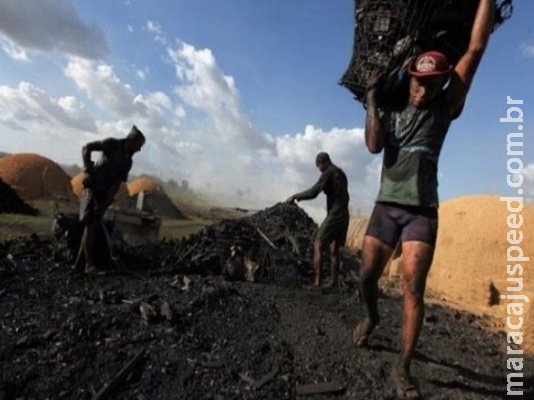 Depois de mais de um século, trabalho escravo e degradante persiste no Brasil Depois de mais de um século, trabalho escravo e degradante persiste no Brasil