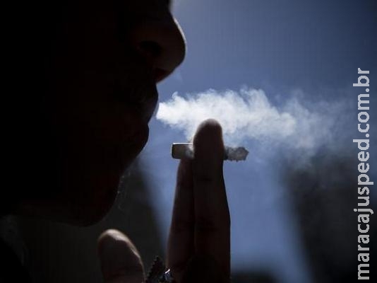 Dia Mundial sem Tabaco alerta este ano para danos causados pela produção do fumo Dia Mundial sem Tabaco alerta este ano para danos causados pela produção do fumo