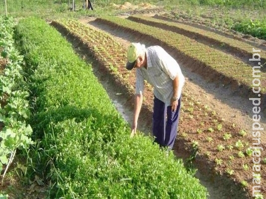 Emprego: agro é único setor da economia brasileira com saldo positivo em 12 meses Emprego: agro é único setor da economia brasileira com saldo positivo em 12 meses