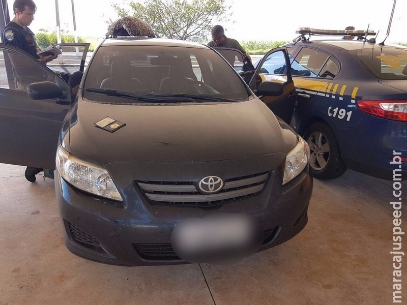 Falso PF é preso em MS com 350 kg de maconha em suposto veículo oficial