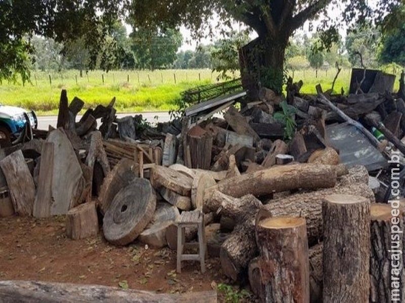 Marceneiro leva multa por armazenar madeira ilegal