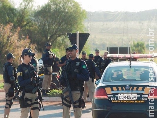 Operação prende 48 pessoas, recupera veículos e apreende drogas