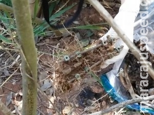 Ossada encontrada por militares pode ser de homem desaparecido em 2013