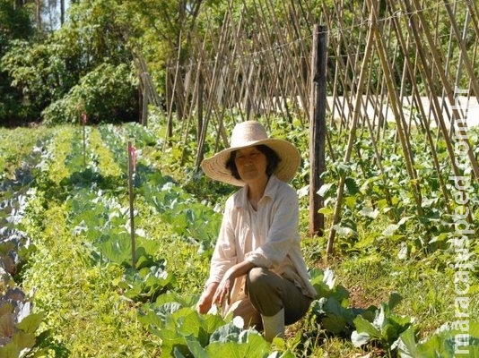 Pequenos agricultores receberão bônus para cultivar nove produtos
