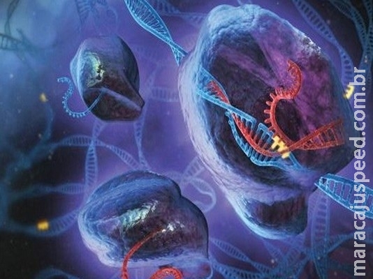 Pesquisadores anunciam ter eliminado HIV em animais com técnica de edição de DNA Pesquisadores anunciam ter eliminado HIV em animais com técnica de edição de DNA