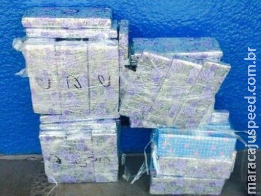 PM prende dois passageiros com 60 quilos de maconha PM prende dois passageiros com 60 quilos de maconha