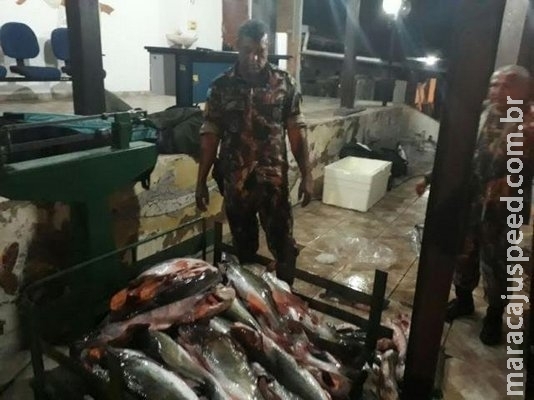 PMA apreende meia tonelada de pescado e multa empresa e 32 turistas PMA apreende meia tonelada de pescado e multa empresa e 32 turistas