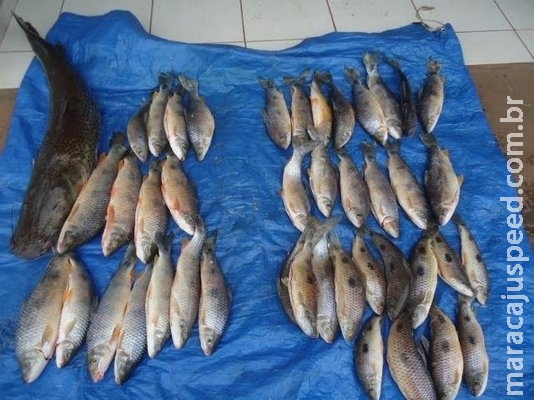 PMA multa turistas paulistas em R$ 9,6 mil por pesca ilegal em MS PMA multa turistas paulistas em R$ 9,6 mil por pesca ilegal em MS