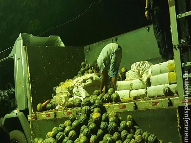 Polícia apreende 2 t de maconha em meio a carga de abóboras